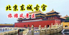 操逼视频猛草出水中国北京-东城古宫旅游风景区